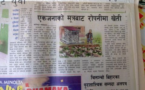 Capacity Building