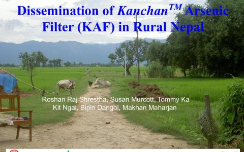 Capacity Building